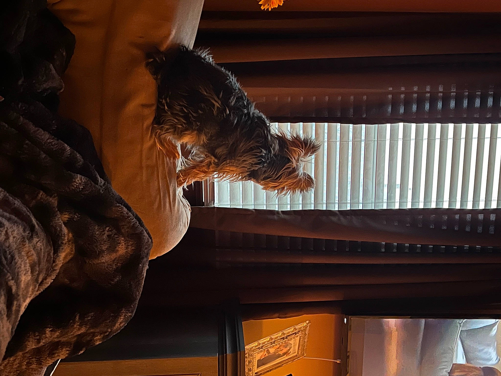 Lugnut joined the competition — help win amazing prizes! art, bronze, bronze_sculpture, building, ceiling, darkness, fur, heat, human, metal, monument, sculpture, statue, temple, tints_and_shades, vertebrate, visual_arts, water, wood, working_animal