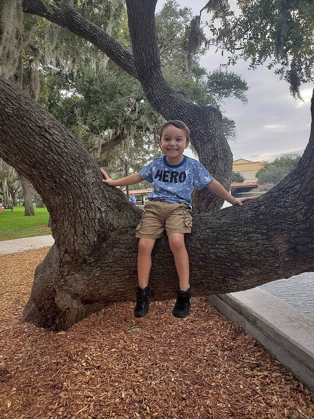 Aiyden is registered to the contest to win money with this photo: botany, branch, child, fun, grass, jeans, joy, leg, leisure, person, photography, plant, play, sitting, t_shirt, toddler, tree, trunk, vacation, woody_plant