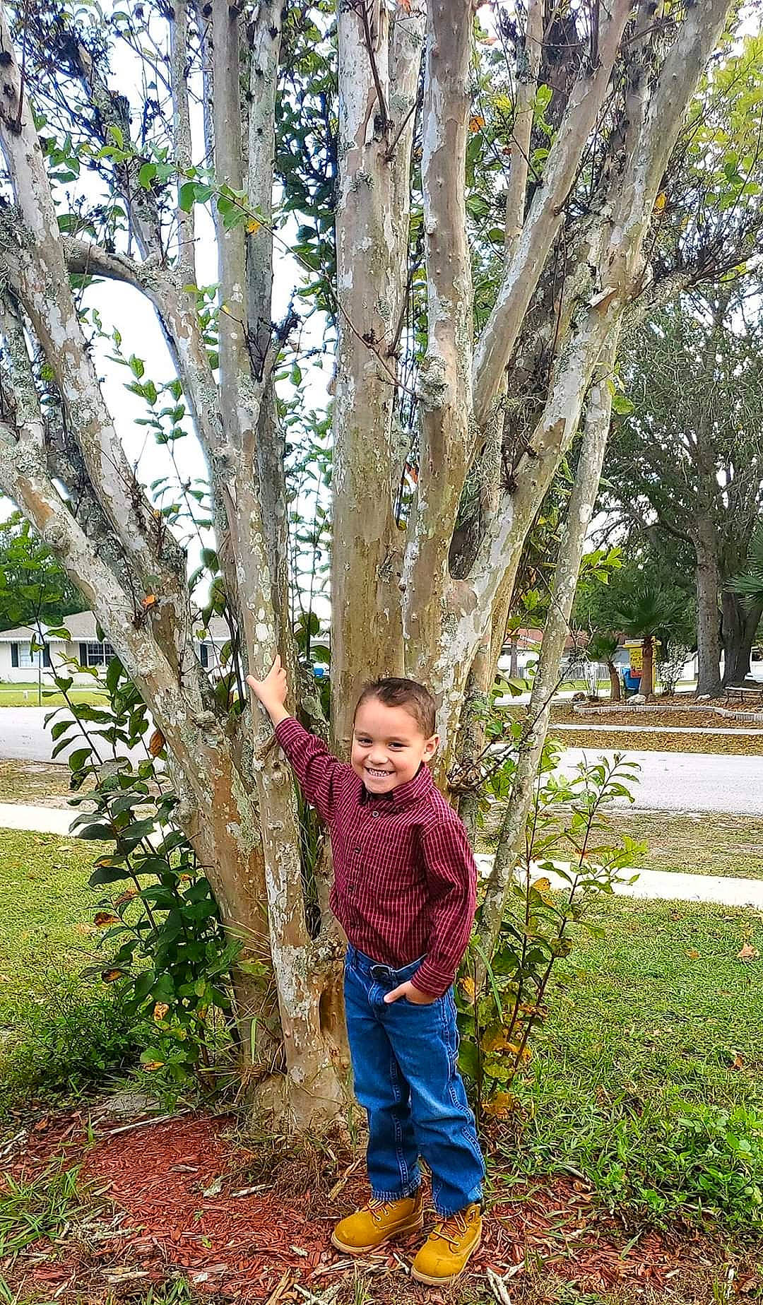 Aiyden joined the competition — help win amazing prizes! botany, branch, canoe_birch, child, joy, person, plant, tree, trunk, woody_plant