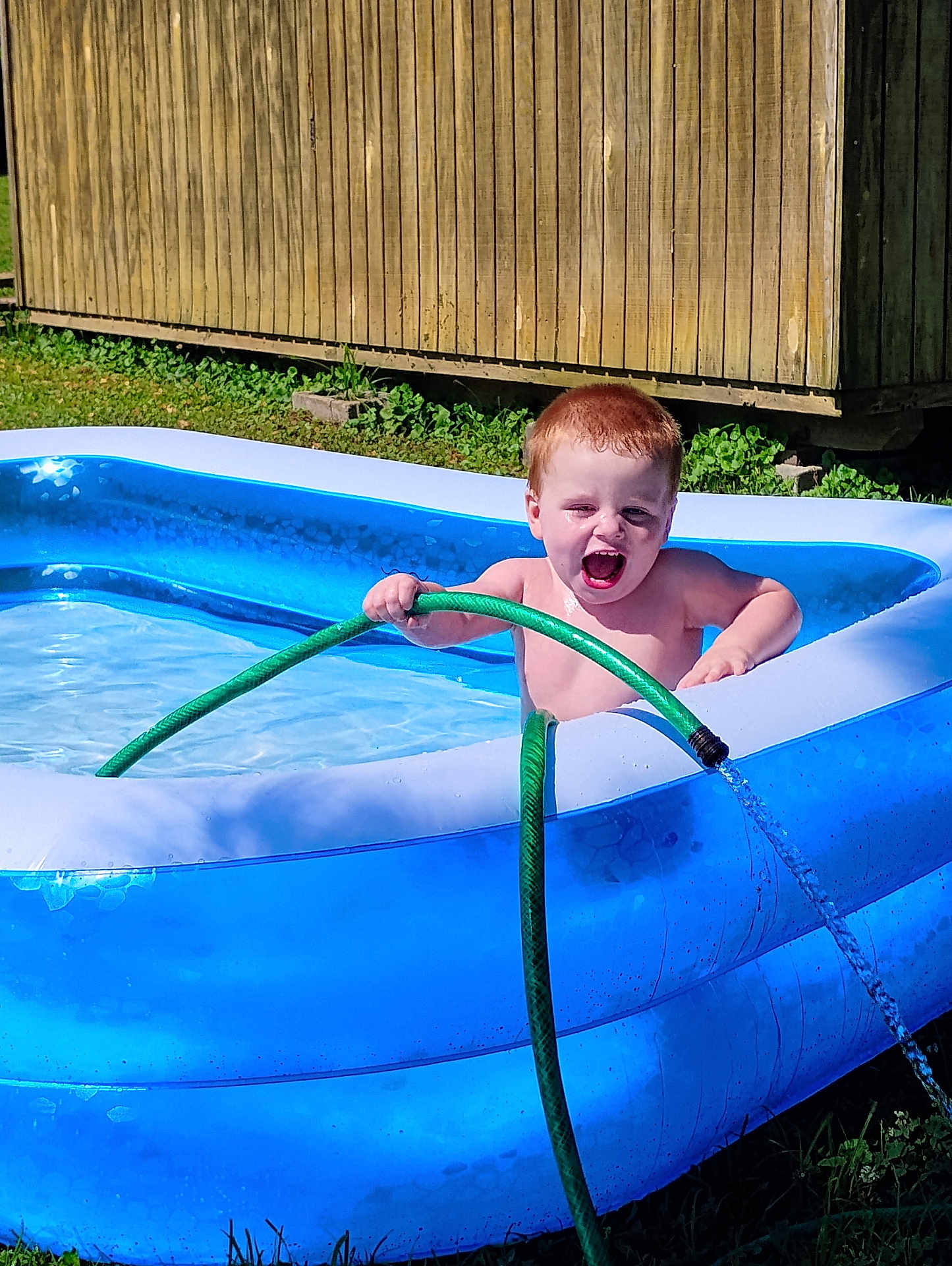 Nikko joined the competition — help win amazing prizes! child, red_hair, inflatable_pool, water, garden_hose, summer, outdoor, grass, wooden_shed, happy, playful, sunlight, backyard, splash, water_spray, bare_chest, fun, daytime, nature, person