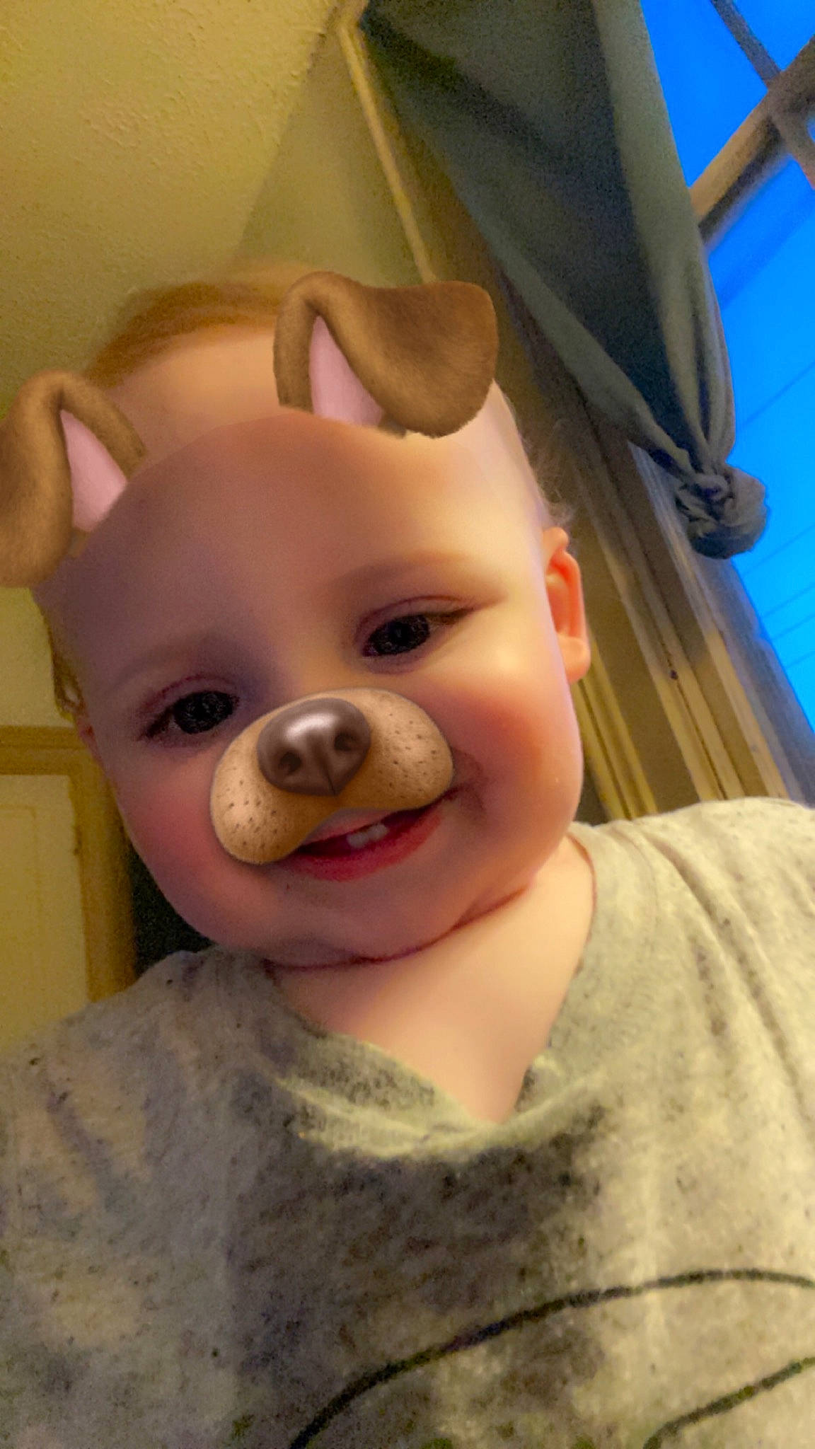 Colton is registered to the contest to win money with this photo: carnivore, cheek, dog, ear, eye, eyelash, fawn, fun, happy, head, iris, jaw, joy, mammal, mouth, neck, nose, organ, person, skin