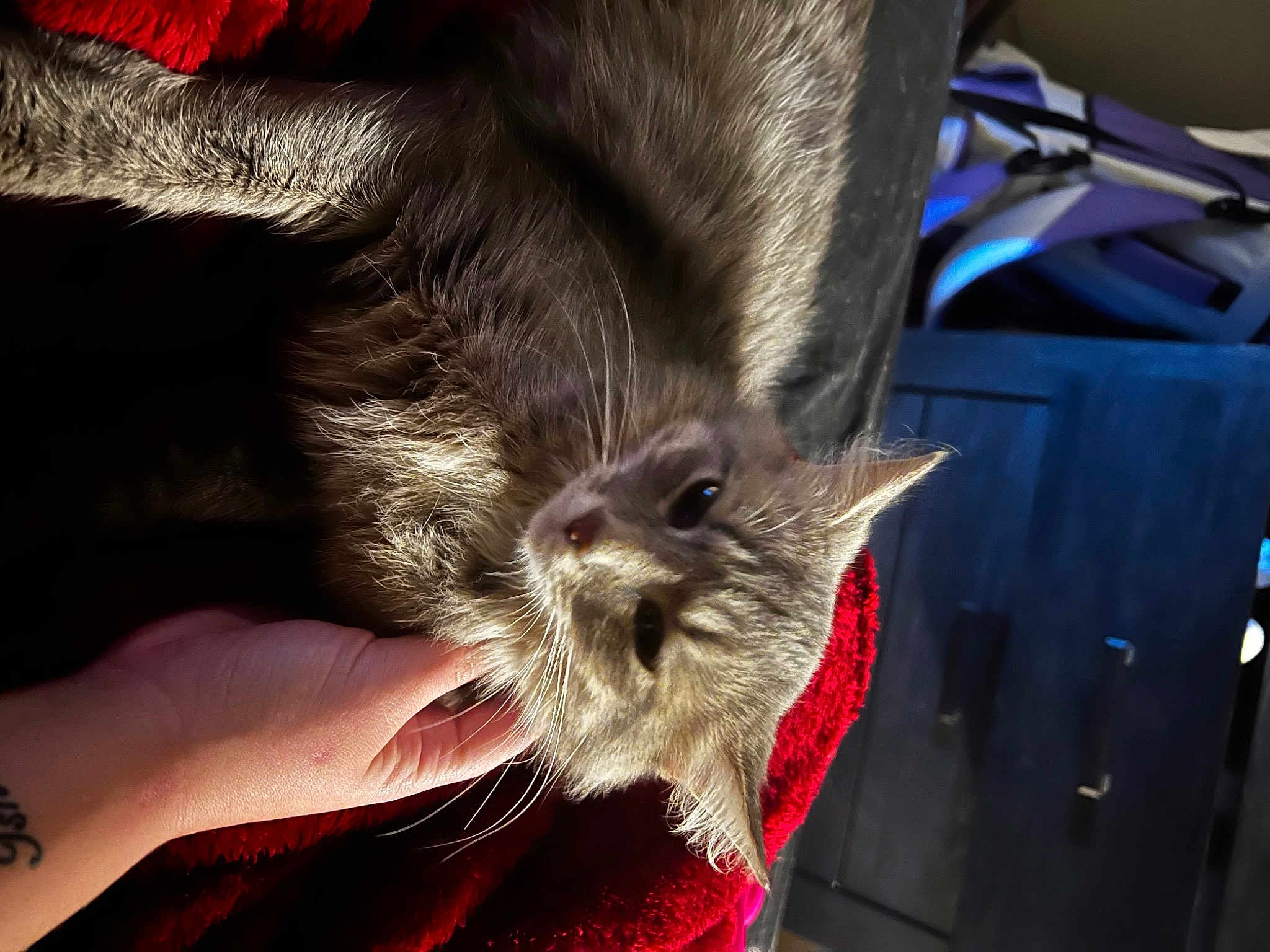 Luna