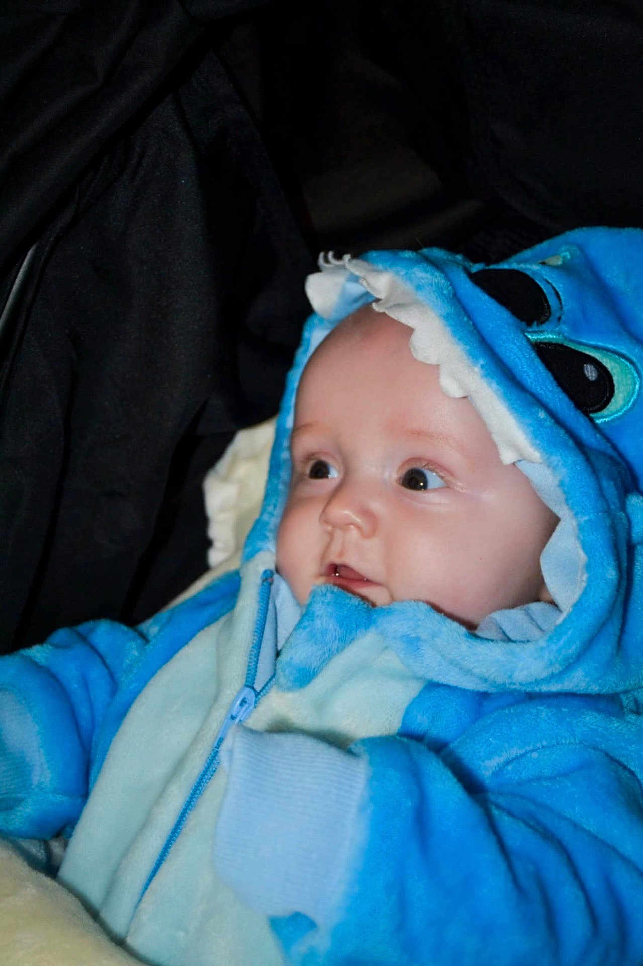 Timaël a rejoint le concours — aidez-le/la à gagner de superbes lots ! baby, child, hooded_jacket, blue_clothing, face, portrait, infant, cute, warm, cozy, eyes, expression, indoor, soft_fabric, winter_clothes, small_hands, bundle, closeup, person, apparel
