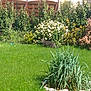 Figaro participe au concours pour gagner de l'argent avec cette photo :