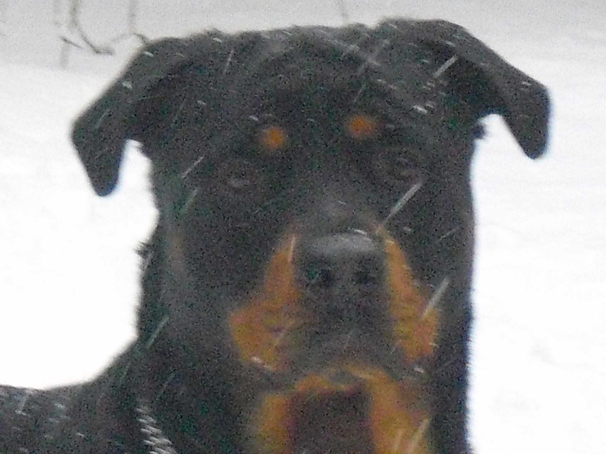 Nalla