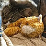 Elsa joined the competition — help win amazing prizes! cat, sleeping, plush_toy, blanket, boot, furry, cozy, indoor, resting, pet, soft_texture, closeup, relaxing, animal, comfort, warm_light, tabby_cat, couch, fur, nap
