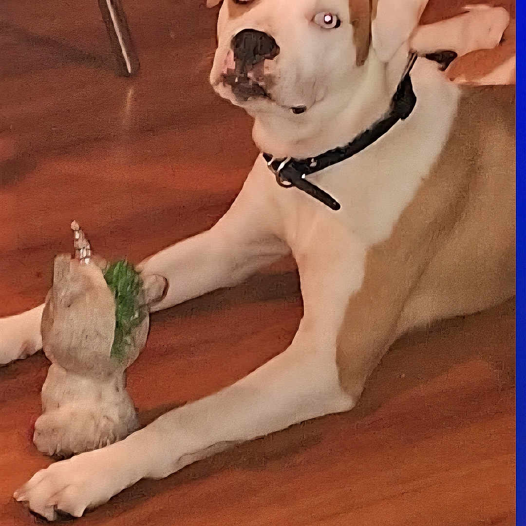 Max