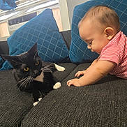 Kayden is registered to the contest to win money with this photo: baby, cat, black_cat, striped_shirt, couch, blue_cushions, indoor, curious, pet, child, furniture, whiskers, yellow_eyes, relaxed, exploration, interaction, cute, toddler, cozy, domestic