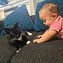 baby, cat, black_cat, striped_shirt, couch, blue_cushions, indoor, curious, pet, child, furniture, whiskers, yellow_eyes, relaxed, exploration, interaction, cute, toddler, cozy, domestic