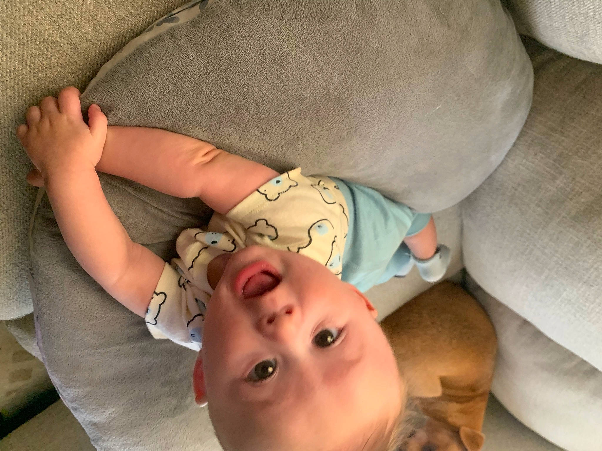 Andres joined the competition — help win amazing prizes! baby, baby_sleeping, baby_toddler_clothing, cheek, child, comfort, eyelash, finger, gesture, joint, linens, lip, mammal, mouth, nail, nose, person, skin, sleeve, surprise