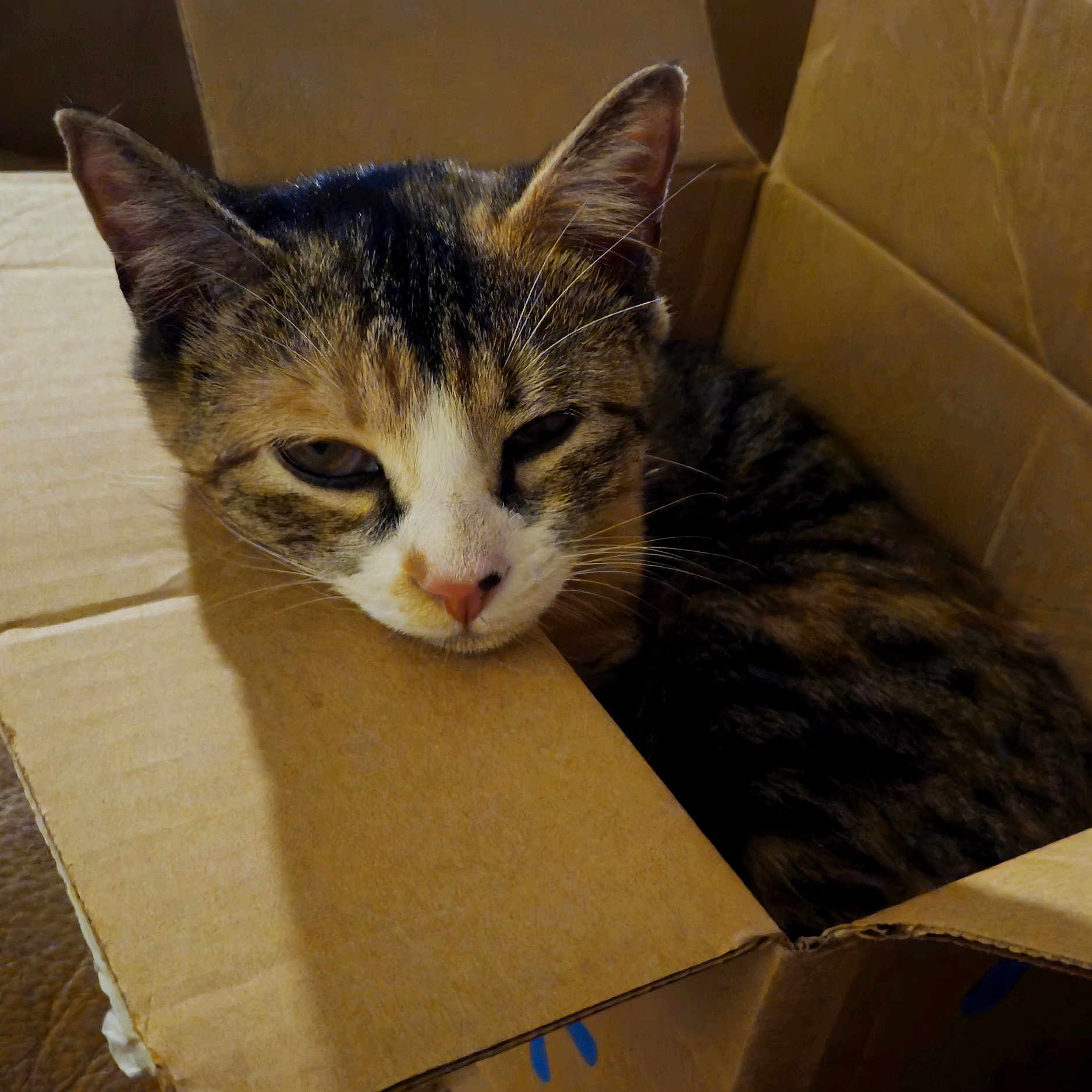 Smudge