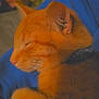 cat, orange_cat, sleeping, cozy, blanket, fur, pet, animal, whiskers, ears, paw, closeup, domestic_cat, resting, cute, feline, indoor, soft, relaxed, nap