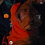 animal, black_cat, costume, cute, dark, decorations, dog, eyeball, face, ghost, halloween, indoor, low_light, orange, orange_clothing, pet, pixel_art, pumpkin, stickers, witch_hat