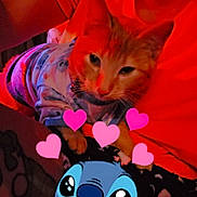 Crush joined the competition — help win amazing prizes! cat, orange_cat, pajamas, person, orange_shirt, indoor, warm_lighting, red_tint, cute, animated_character, stitch, hearts, snuggling, pet, cozy, affection, close_up, soft_focus, cute_animal, companion