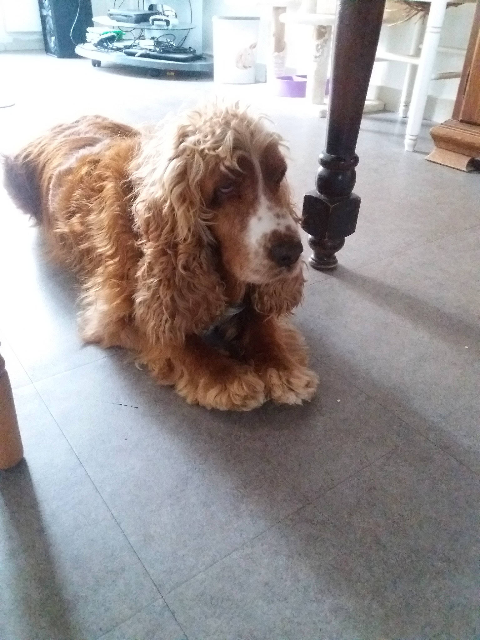 Max