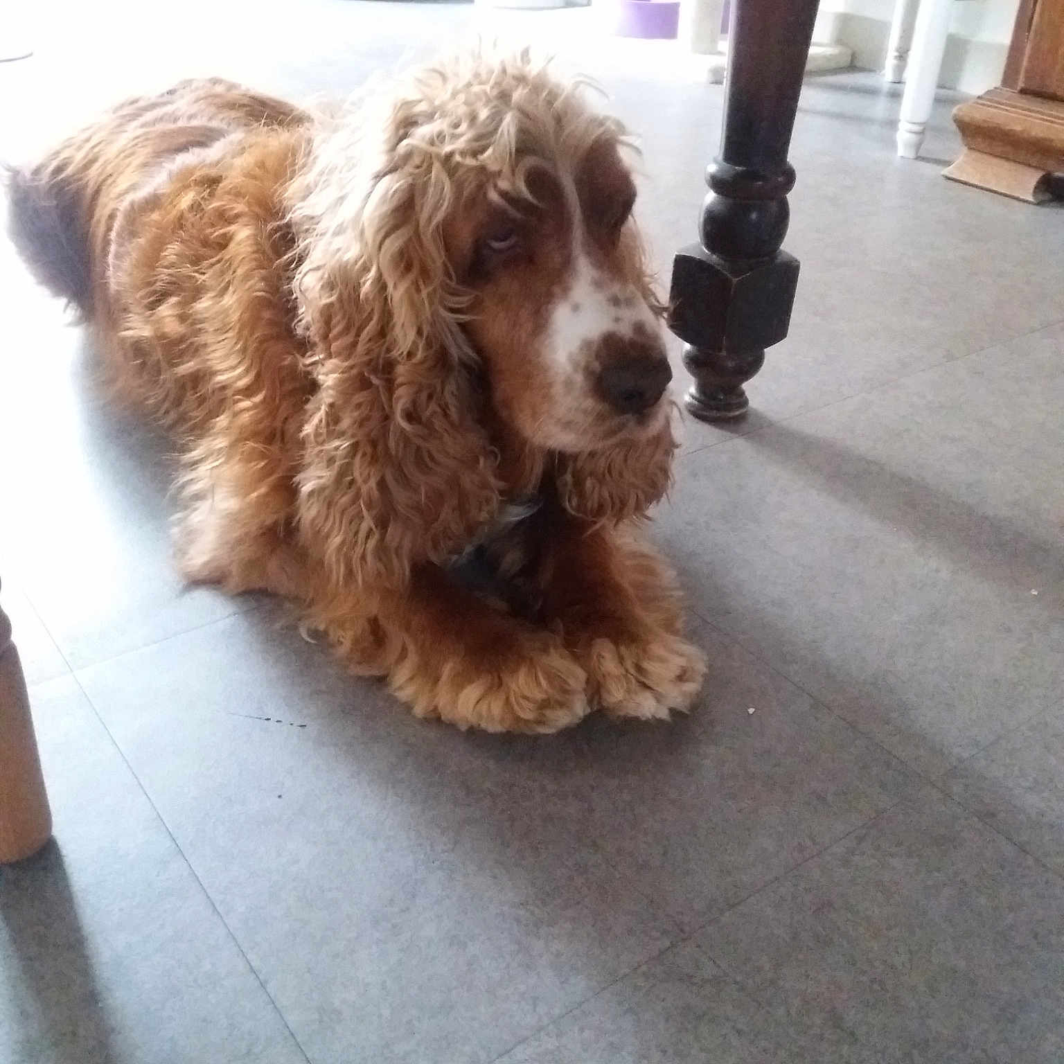 Max