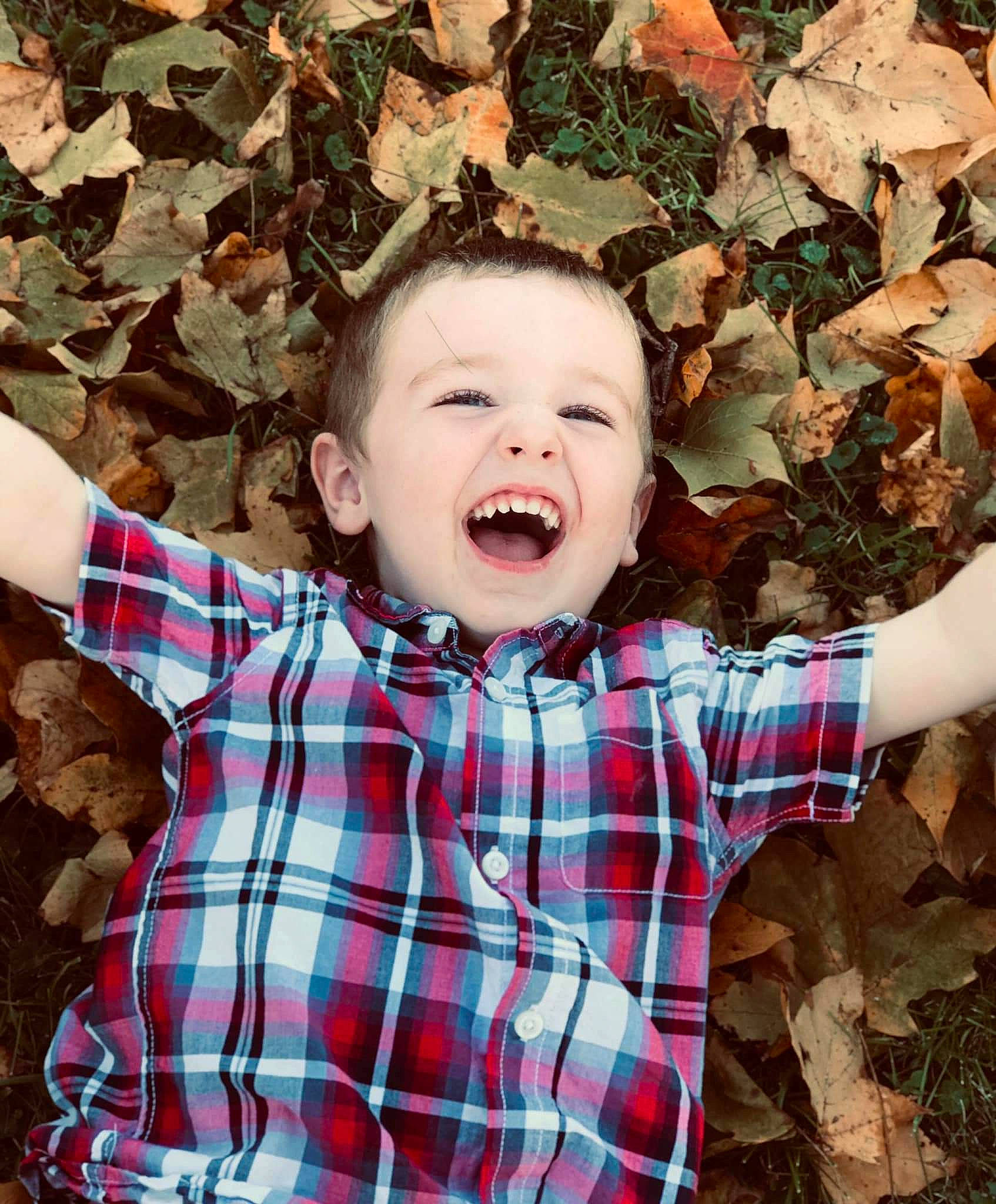Bentley is registered to the contest to win money with this photo: autumn, baby, cheek, child, design, face, facial_expression, fun, happy, head, leaf, pattern, person, plaid, plant, sleeve, smile, tartan, textile, toddler