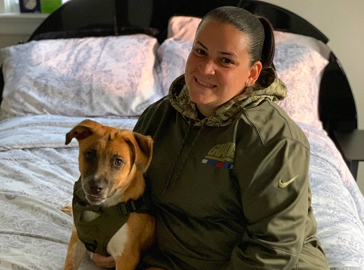 Gunner is registered to the contest to win money with this photo: bed, bedding, canidae, carnivore, collar, comfort, companion_dog, dog, dog_breed, fawn, hood, iris, jacket, linens, mammal, pillow, snout, sporting_group, whiskers, working_animal