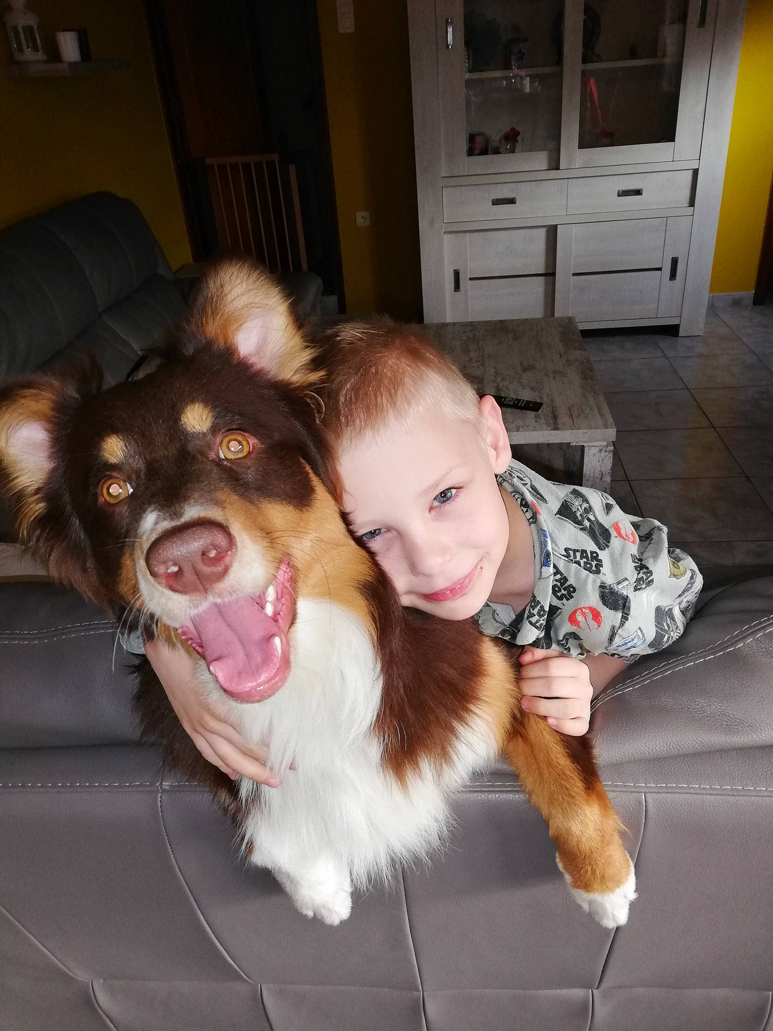 Rasko a rejoint le concours — aidez-le/la à gagner de superbes lots ! australian_shepherd, canidae, carnivore, child, companion_dog, dog, dog_breed, ear, fawn, fur, nose, person, puppy_love, rough_collie, smile, sporting_group, toddler
