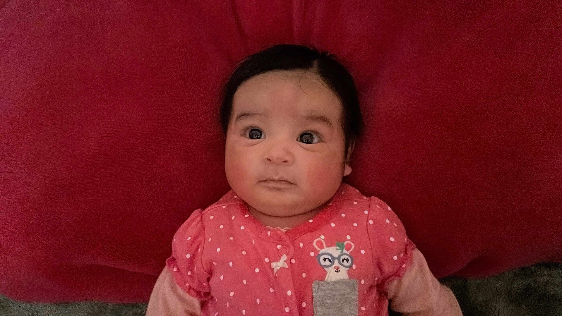 Glenis is registered to the contest to win money with this photo: baby, infant, child, pink_clothing, polka_dots, face, wide_eyes, dark_hair, red_cushion, plush, cute, portrait, lying_down, indoors, apparel, childhood, adorable, expression, young_child, one_person