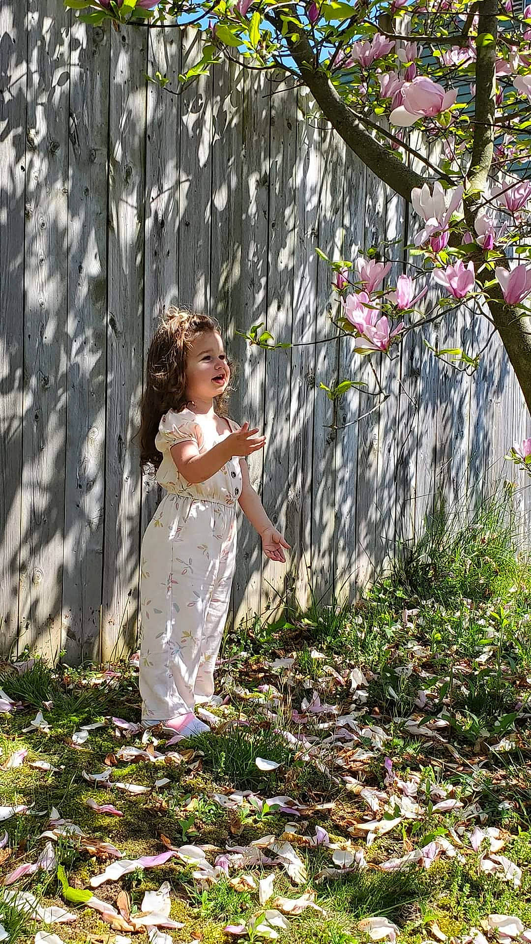 Leona joined the competition — help win amazing prizes! branch, dress, flower, forest, grass, grass_family, happy, leisure, natural_environment, people_in_nature, person, petal, plant, summer, sunlight, toddler, tree, trunk, twig, wood