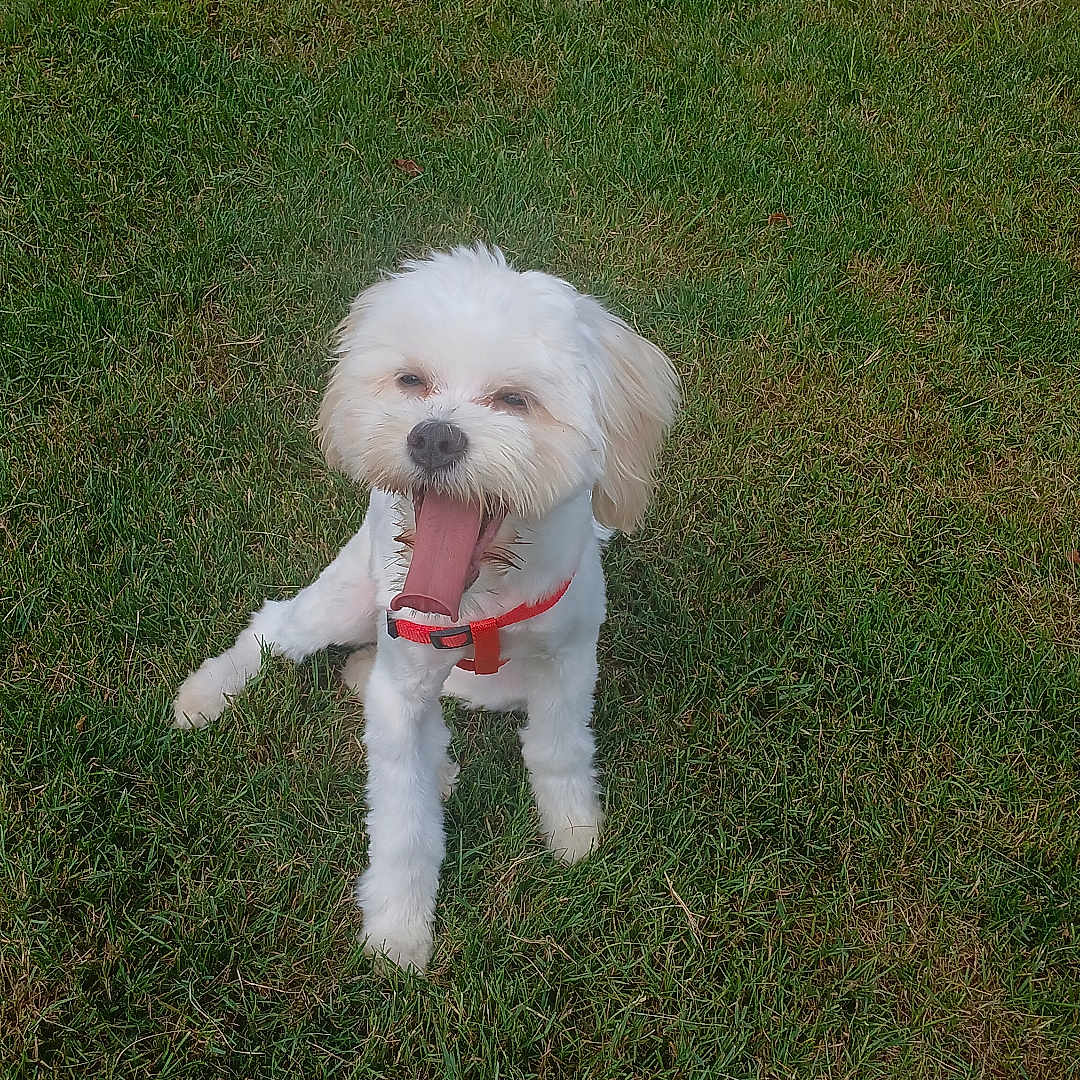 Rita