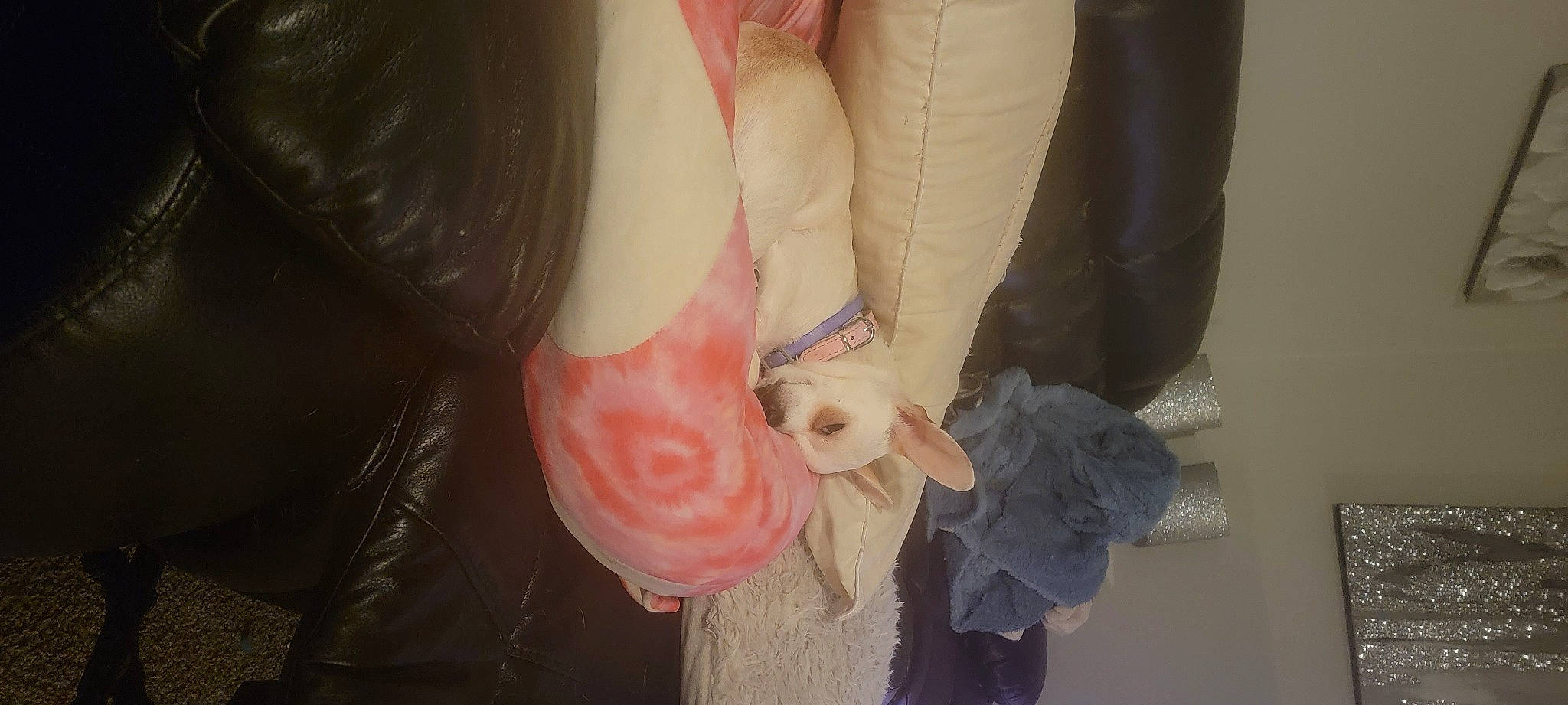 Snow White joined the competition — help win amazing prizes! arm, art, child, elbow, fashion_accessory, foot, gesture, glove, human_body, human_leg, knee, leg, magenta, nail, neck, shoulder, sleeve, thigh, thumb, wrist