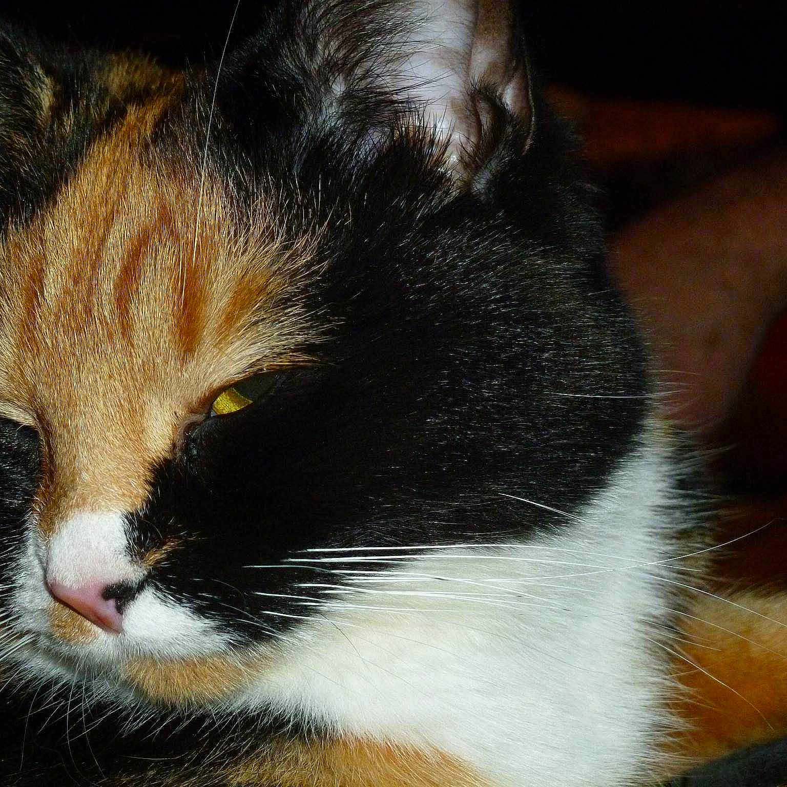 Em is registered to the contest to win money with this photo: