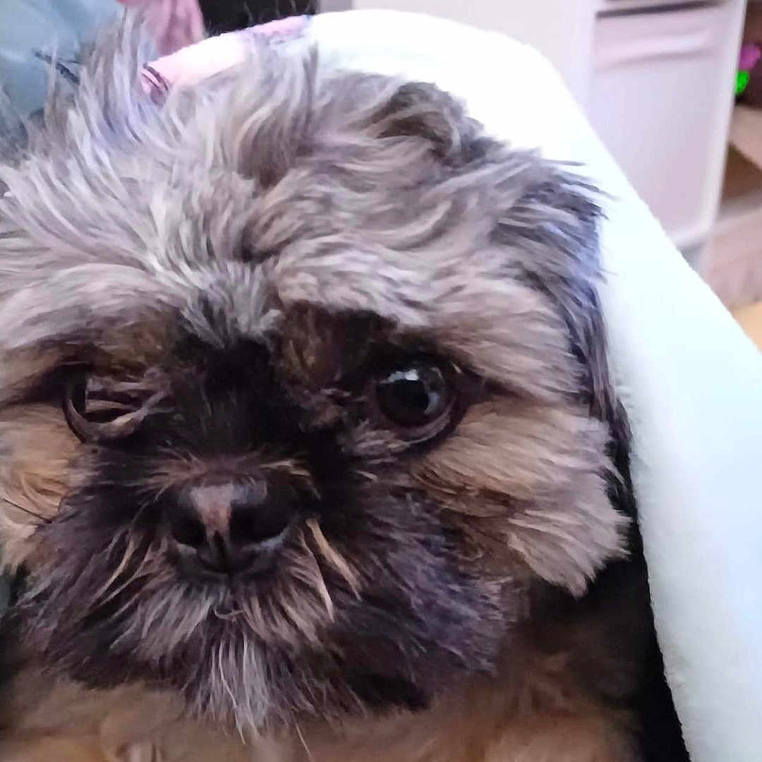 Vanya