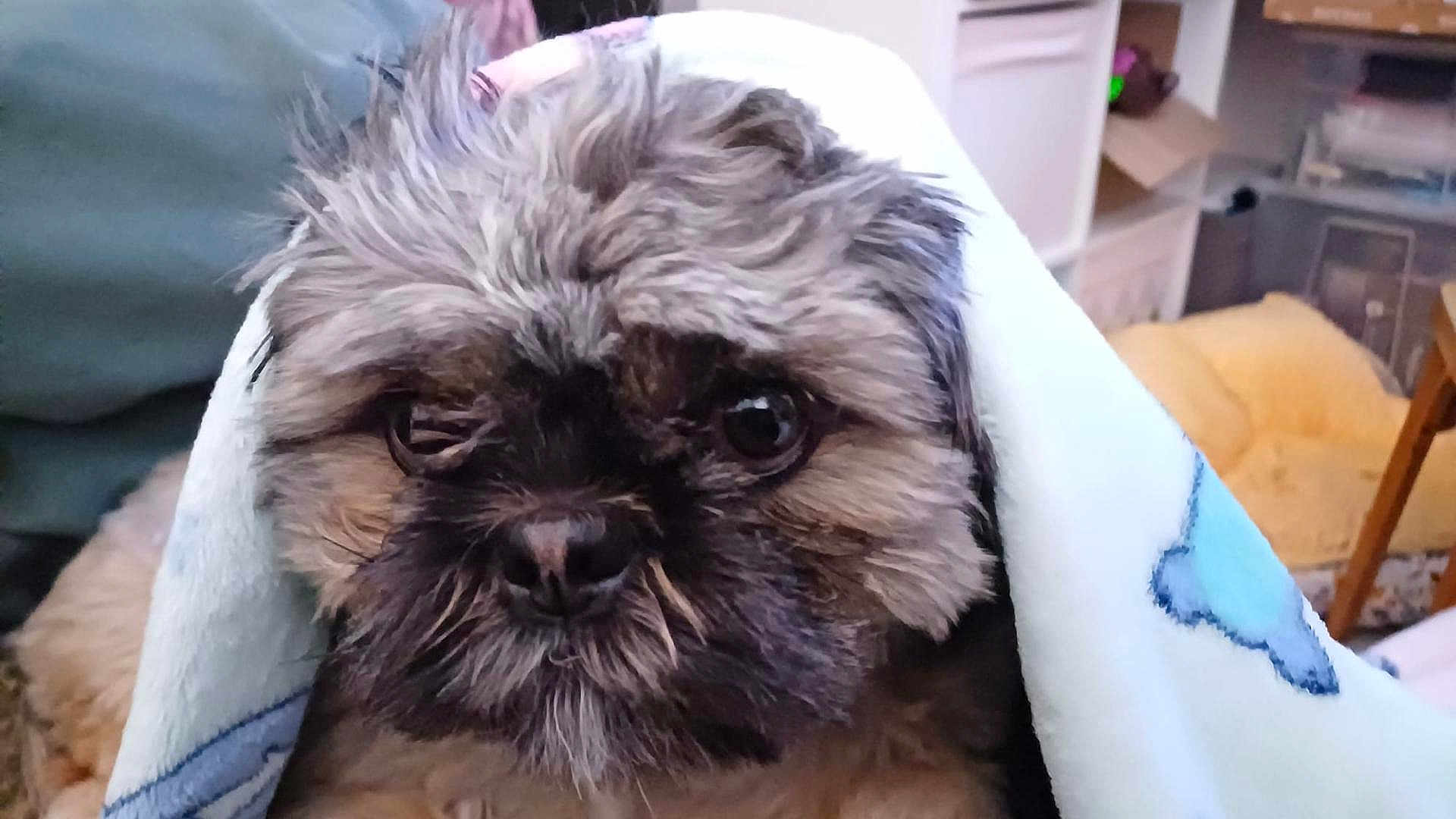 Vanya