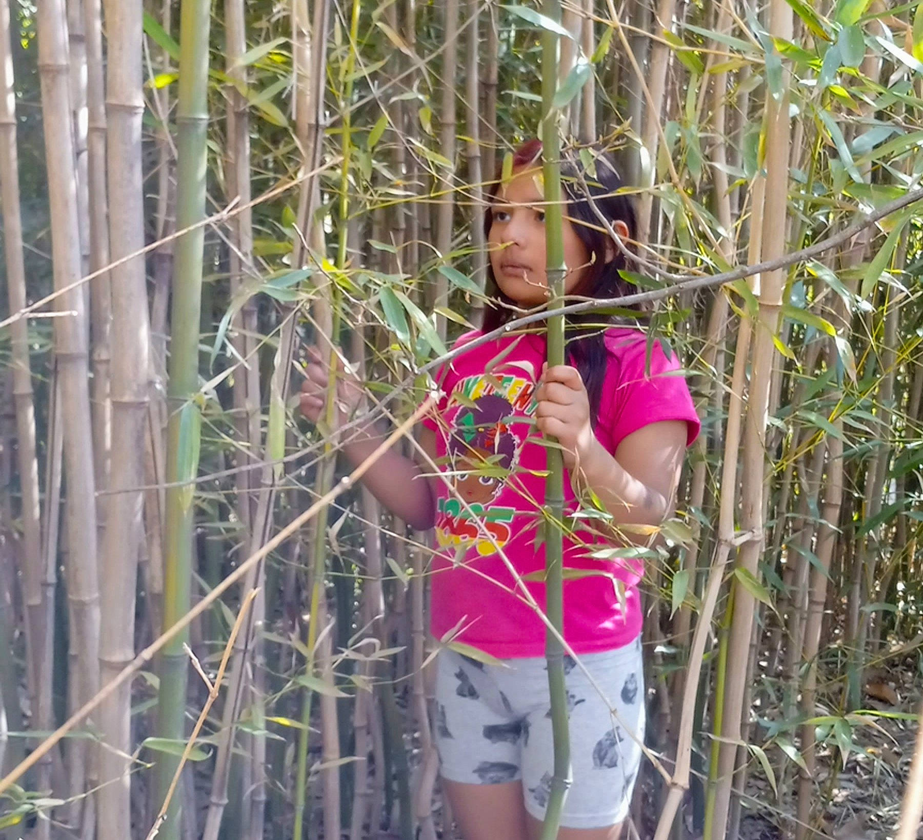Izabelle is registered to the contest to win money with this photo: chest, elbow, fence, headwear, jungle, leisure, magenta, mesh, natural_environment, nature, net, person, plant, shorts, t_shirt, terrestrial_plant, thigh, trunk, vertebrate, waist