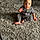 Jayden