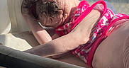 Luna joined the competition — help win amazing prizes! animal, baby, bodypart, bulldog, canine, clothing, dog, face, finger, frenchbulldog, hand, head, person, pet, photography, pitbull, portrait, puppy, sleeping, swimwear