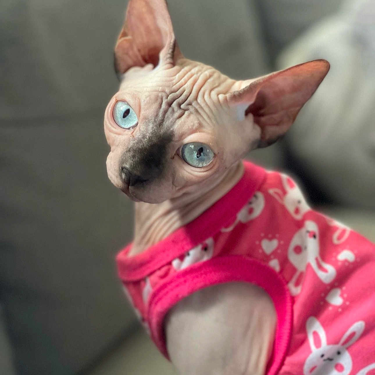 Luna