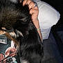 dog, person, arm, hand, pillow, fur, black_fur, tan_fur, sitting, couch, clothing, printed_shirt, indoor, low_light, snuggling, relaxing, furry_pet, closeup, human_pet_interaction, casual