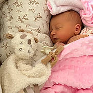 Lily-Ana participe au concours pour gagner de l'argent avec cette photo : newborn, baby, sleeping, blanket, pink, plush_toy, pillow, soft_texture, infant, resting, cute, child, cozy, indoor, peaceful, wrapped, comfort, toddler, portrait, nursery
