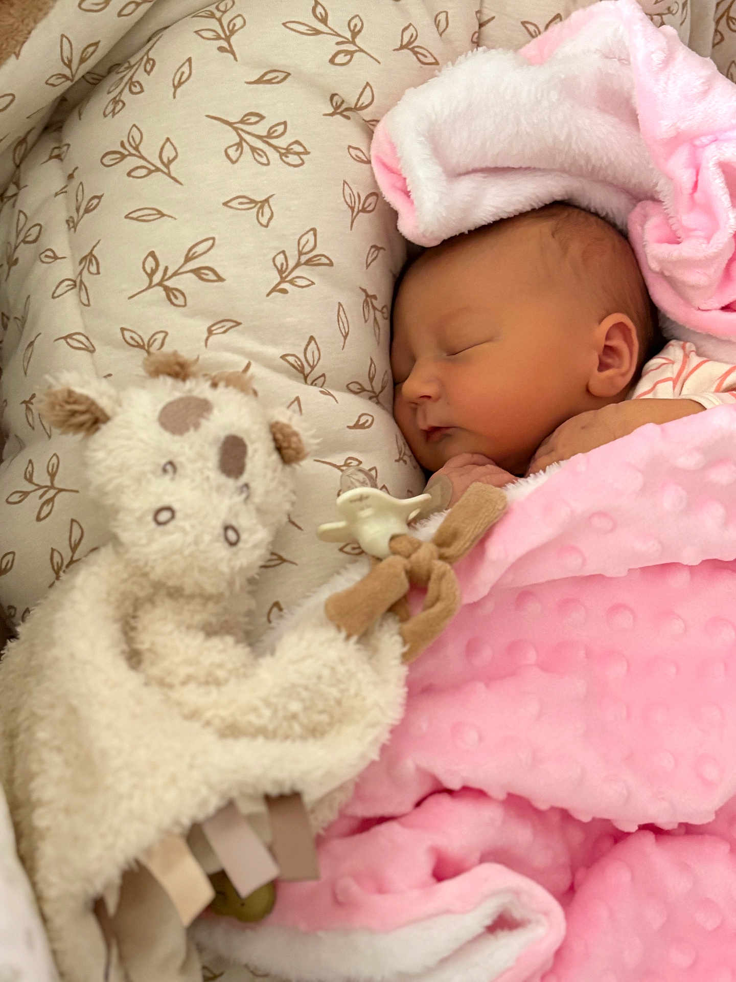 Lily-Ana participe au concours pour gagner de l'argent avec cette photo : newborn, baby, sleeping, blanket, pink, plush_toy, pillow, soft_texture, infant, resting, cute, child, cozy, indoor, peaceful, wrapped, comfort, toddler, portrait, nursery