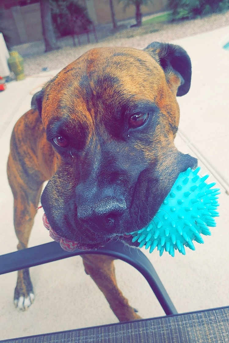 Bubba