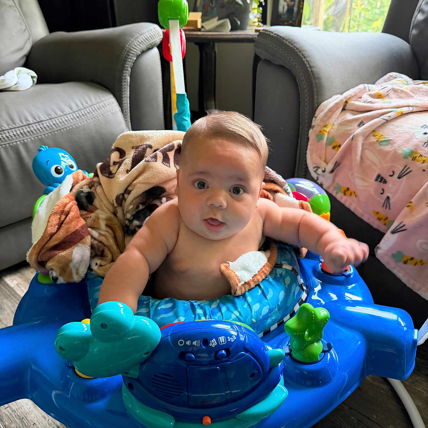 Weston joined the competition — help win amazing prizes! baby, child, infant, activity_walker, toy, indoor, living_room, armchair, blanket, blue, sitting, face, portrait, wide_eyed, curious, floor, window, daylight, household, playtime