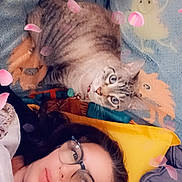 Nougat a rejoint le concours — aidez-le/la à gagner de superbes lots ! bed, blanket, cat, charm, collar, cozy, cute, filter, flowers_overlay, glasses, indoor, looking_at_camera, lying_down, person, pet, petals, pillow, portrait, selfie, tabby_cat