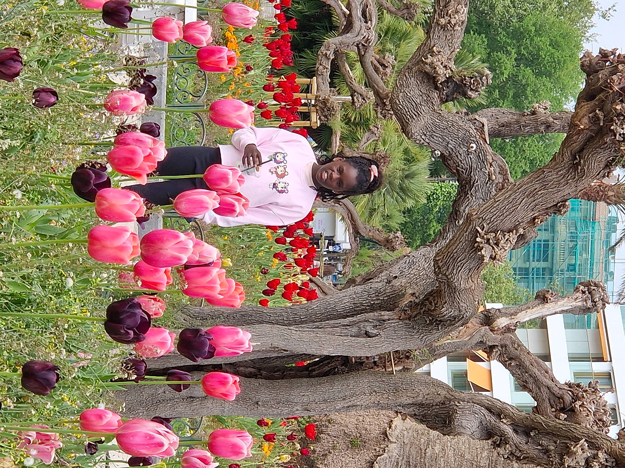 Madeleim a rejoint le concours — aidez-le/la à gagner de superbes lots ! annual_plant, carmine, coquelicot, event, flower, flowering_plant, magenta, malus, person, petal, plant, plant_stem, rose_family, rose_order, shrub, tree, trunk, twig, wood