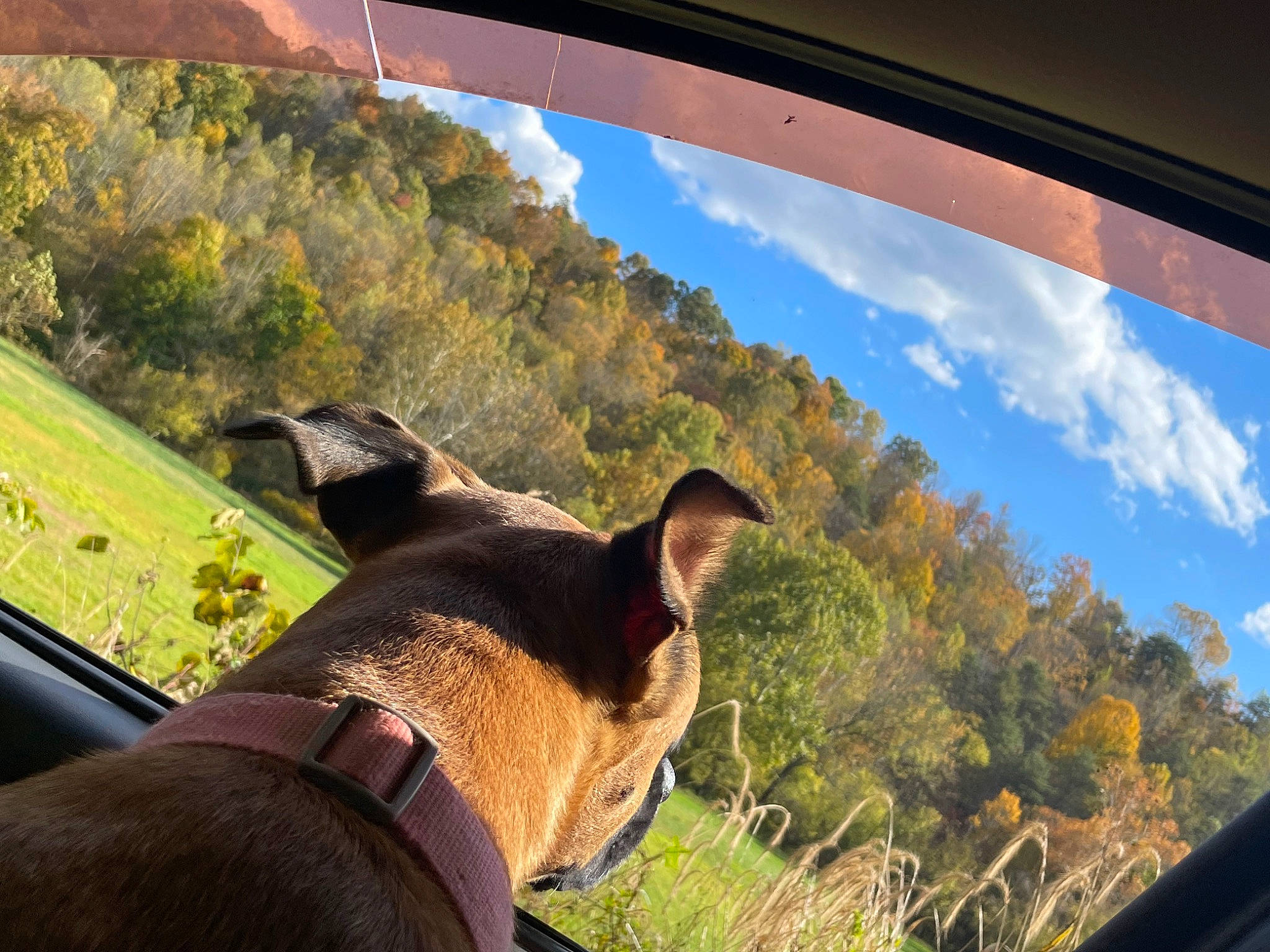 Girl is registered to the contest to win money with this photo: auto_part, automotive_exterior, cloud, display_device, gesture, grass, grassland, hill, landscape, leisure, light, natural_landscape, plant, sky, tints_and_shades, tourism, travel, tree, vehicle_door, windshield