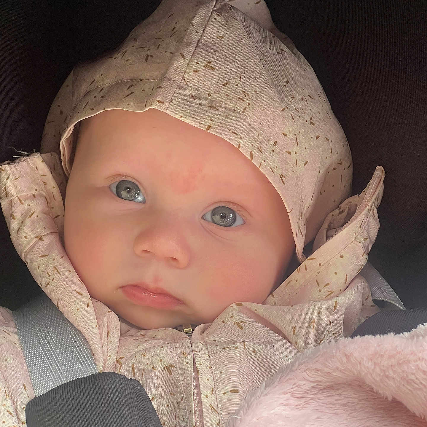 Noa participe au concours pour gagner de l'argent avec cette photo : baby, infant, face, hood, jacket, pink, blanket, closeup, portrait, child, cute, eyes, soft, warm, cozy, seatbelt, carseat, expression, skin, young