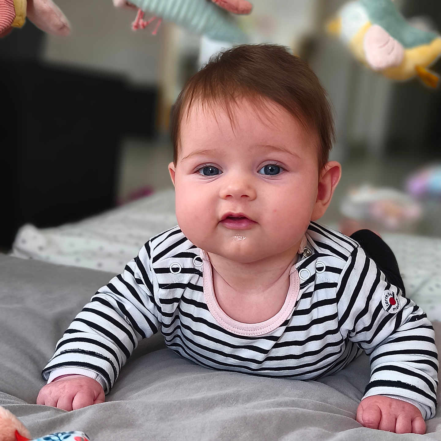 Alba participe au concours pour gagner de l'argent avec cette photo : baby, background_blur, blue_eyes, child, closeup, clothing, curious, cute, drool, face, furniture, hands, indoors, infant, lying_down, mobile_toys, person, plush_toys, soft_blanket, striped_shirt