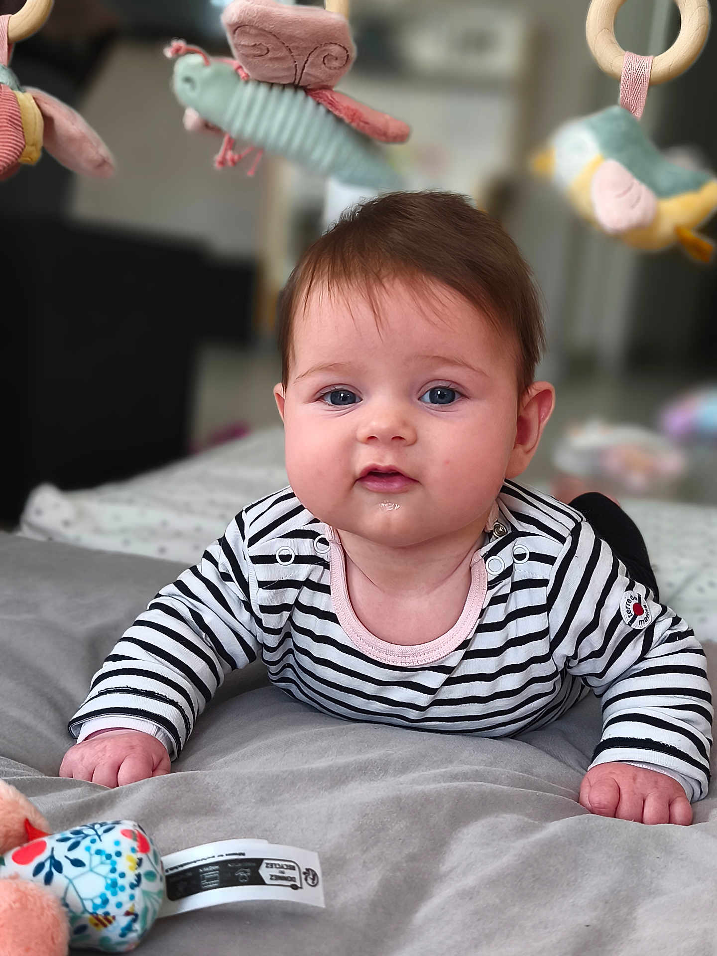 Alba participe au concours pour gagner de l'argent avec cette photo : baby, infant, child, striped_shirt, blue_eyes, plush_toys, soft_blanket, drool, cute, indoors, mobile_toys, face, hands, lying_down, curious, closeup, person, clothing, furniture, background_blur