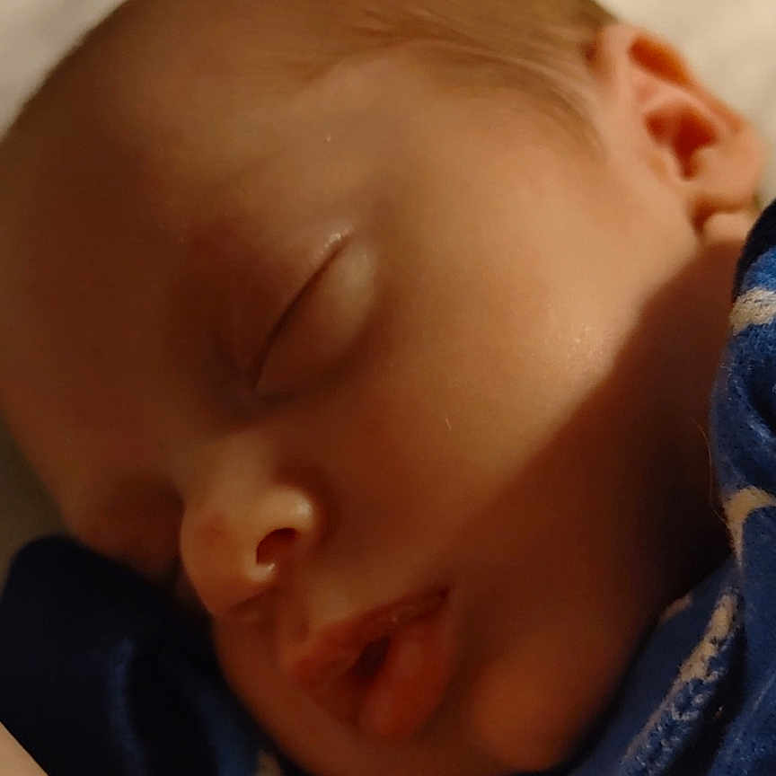 Brysen joined the competition — help win amazing prizes! animal, baby, blanket, bodypart, bonnet, canine, clothing, dog, face, finger, hand, hat, head, newborn, person, pet, photography, portrait, sleeping, towel
