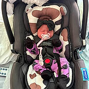 Dixianna is registered to the contest to win money with this photo: baby, baby_accessory, blanket, bow, car_seat, child, clothing, cute, head_support, indoors, infant, mittens, newborn, pacifier, protected, purple_pajamas, resting, safety_harness, seatbelt, sleeping