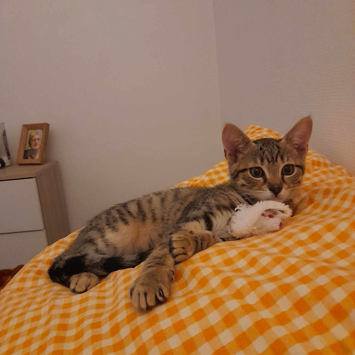 Tigger
