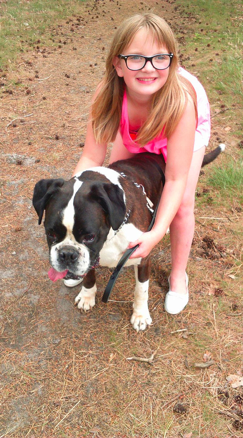 Jack participe au concours pour gagner de l'argent avec cette photo : canidae, carnivore, companion_dog, dog, dog_breed, fawn, mammal, non_sporting_group, rare_breed_dog, sporting_group, valley_bulldog, vertebrate