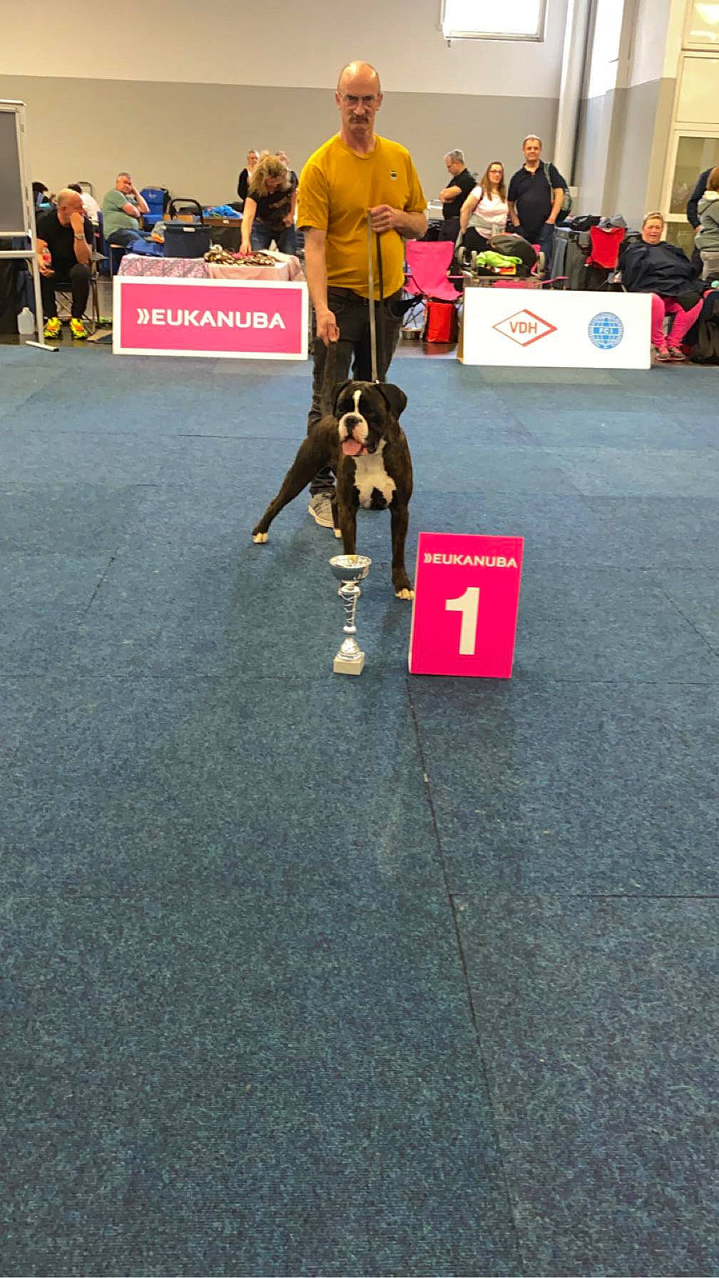 Sonrem De Las Vuidas Negras a rejoint le concours — aidez-le/la à gagner de superbes lots ! animal_sports, boot, canidae, carnivore, chair, championship, companion_dog, competition, competition_event, dog, dog_breed, dog_sports, event, flooring, recreation, sporting_group, sports